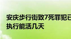 安庆步行街致7死罪犯已被执行死刑死刑立即执行能活几天