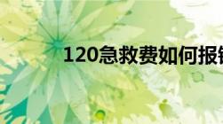 120急救费如何报销到哪里去报