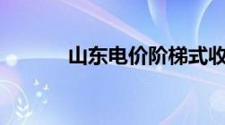 山东电价阶梯式收费标准2022