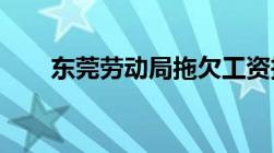 东莞劳动局拖欠工资投诉电话是多少