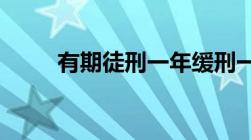 有期徒刑一年缓刑一年是什么意思