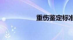 重伤鉴定标准是什么