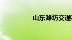 山东潍坊交通事故最新