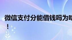 微信支付分能借钱吗为啥网友说一点用都没有！