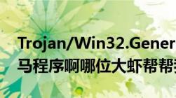 Trojan/Win32.Generic.5213c46是什么木马程序啊哪位大虾帮帮我啊