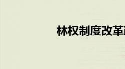 林权制度改革政策内容