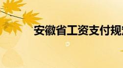 安徽省工资支付规定修改的决定