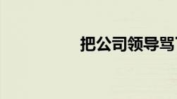 把公司领导骂了犯法吗