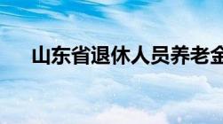 山东省退休人员养老金调整方案是什么