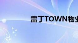 雷丁TOWN物业公司是谁