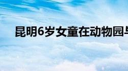 昆明6岁女童在动物园与老虎合影被咬死