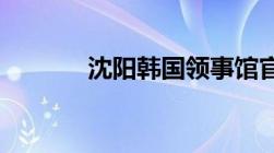 沈阳韩国领事馆官网签证查询