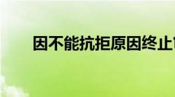 因不能抗拒原因终止审理是什么意思