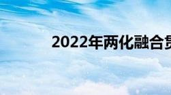 2022年两化融合贯标申报条件