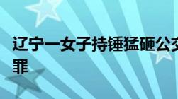 辽宁一女子持锤猛砸公交司机故意伤人怎么定罪