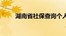 湖南省社保查询个人账户查询官网