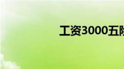 工资3000五险交多少