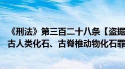 《刑法》第三百二十八条【盗掘古文化遗址、古墓葬罪;盗掘古人类化石、古脊椎动物化石罪】