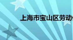 上海市宝山区劳动仲裁咨询热线