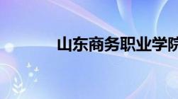 山东商务职业学院录取分数线