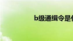 b级通缉令是什么意思