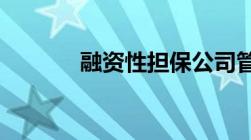 融资性担保公司管理暂行办法