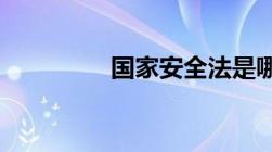 国家安全法是哪一年出台