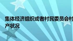 集体经济组织或者村民委员会村民小组应当怎样公布集体财产状况