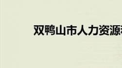 双鸭山市人力资源和社会保障局