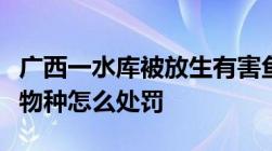 广西一水库被放生有害鱼种清道夫（放生外来物种怎么处罚