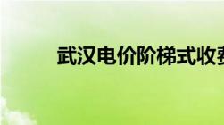 武汉电价阶梯式收费标准2022年