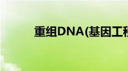 重组DNA(基因工程)的主要步骤