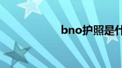 bno护照是什么意思