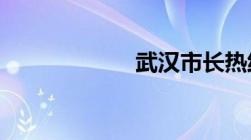 武汉市长热线投诉