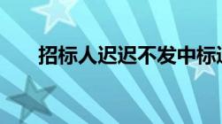 招标人迟迟不发中标通知书,如何处理