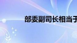 部委副司长相当于地方什么官