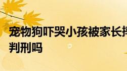 宠物狗吓哭小孩被家长摔死摔死他人宠物会被判刑吗