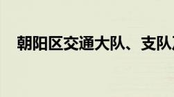 朝阳区交通大队、支队及车管所地址电话