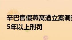 辛巴售假燕窝遭立案调查律师：可能被判处15年以上刑罚