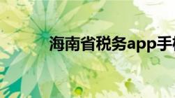 海南省税务app手机开发票流程