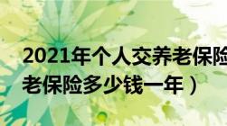 2021年个人交养老保险价格表明细（个人养老保险多少钱一年）