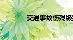 交通事故伤残级别鉴定标准