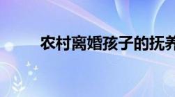 农村离婚孩子的抚养费标准是什么