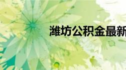 潍坊公积金最新政策2022