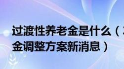 过渡性养老金是什么（2022年退休人员养老金调整方案新消息）