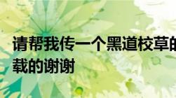 请帮我传一个黑道校草的黑道校花TXT全集下载的谢谢