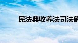 民法典收养法司法解释理解与适用