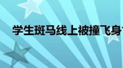 学生斑马线上被撞飞身亡不减速如何处罚