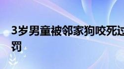 3岁男童被邻家狗咬死过失致人死亡罪怎么处罚