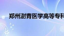 郑州澍青医学高等专科学校录取分数线